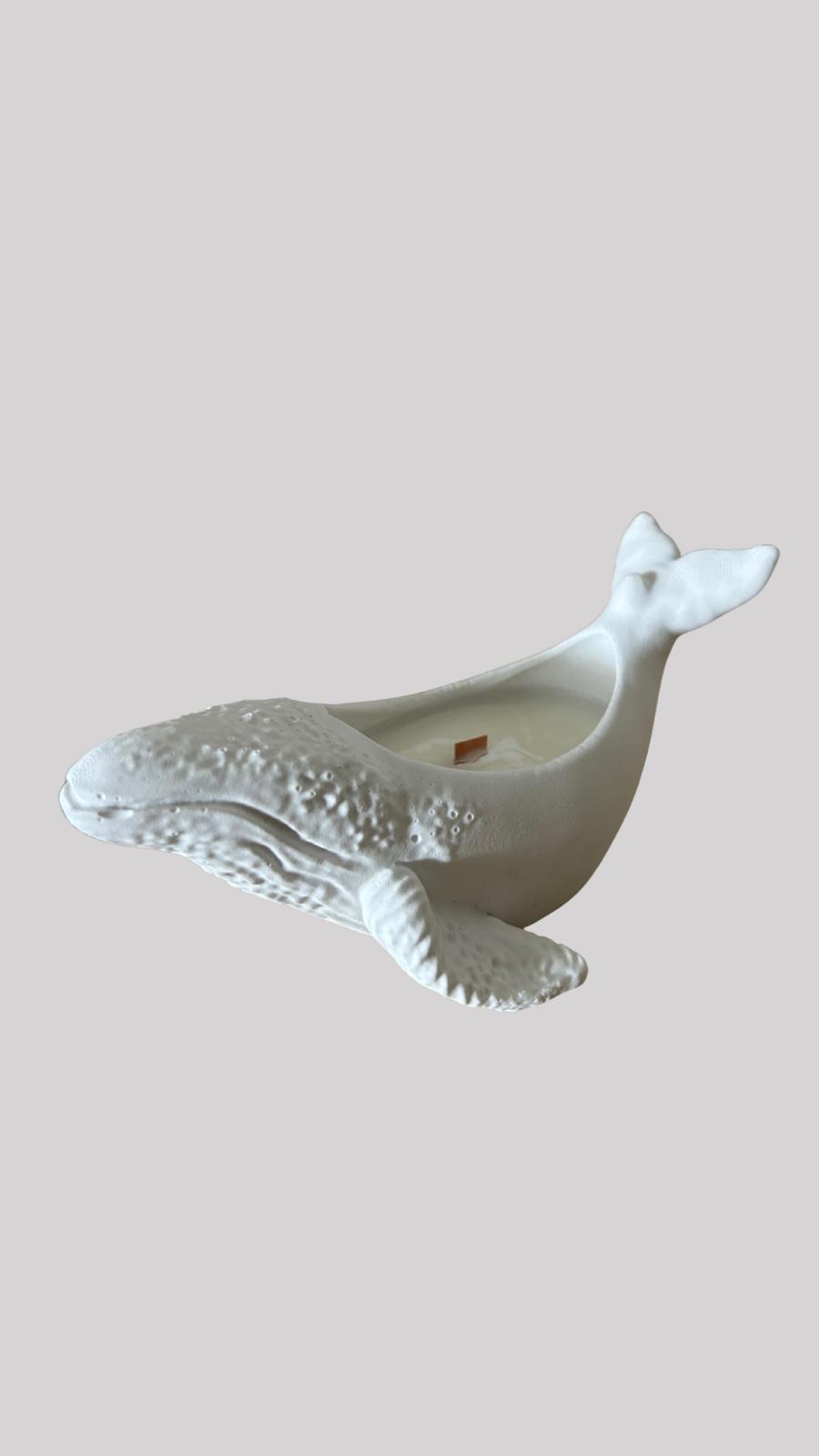 Canela dorada
