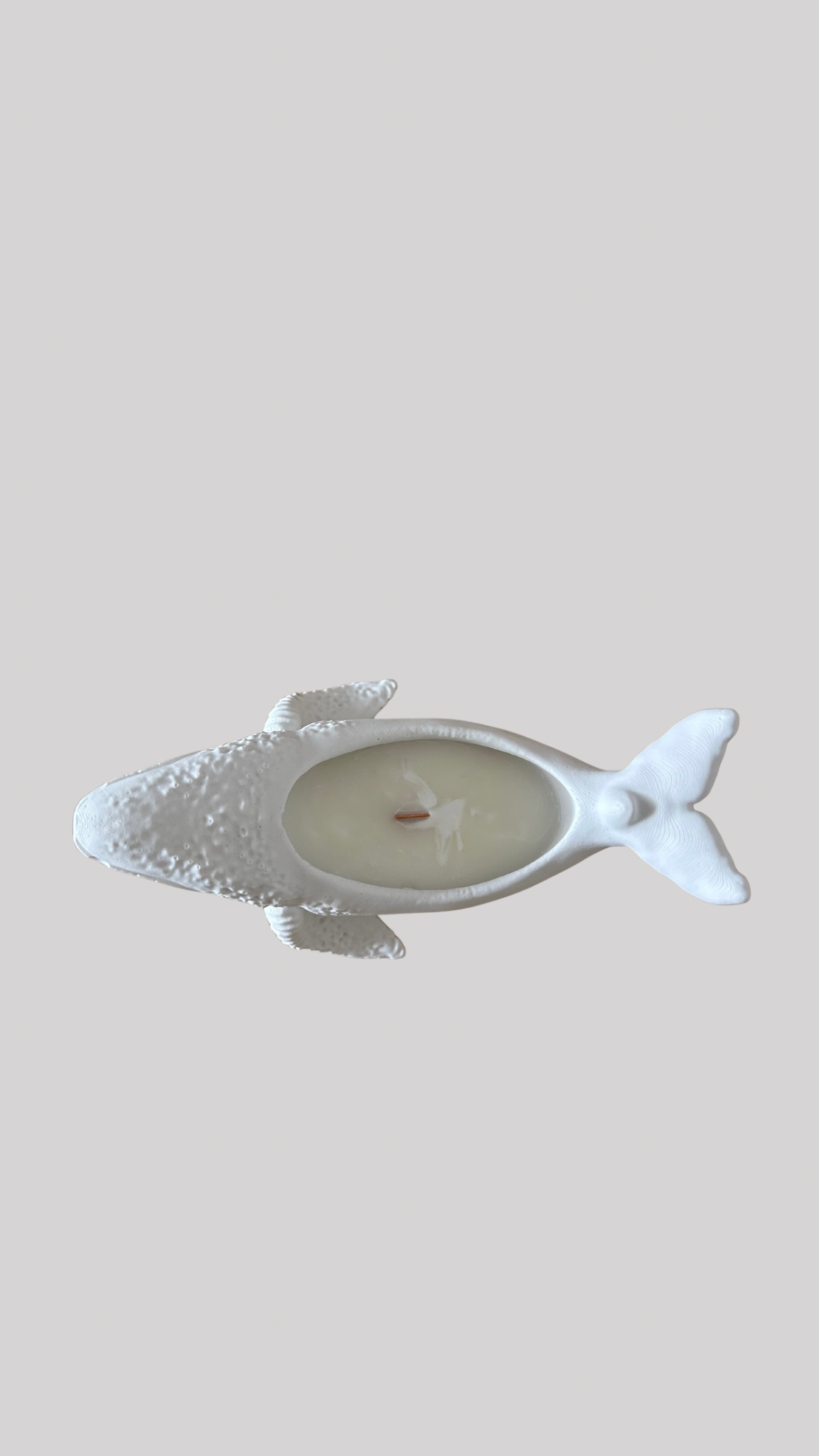 Canela dorada