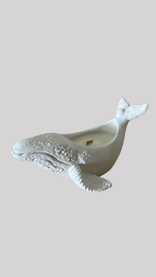 Canela dorada